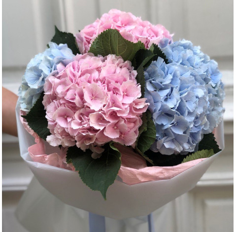 Букет Ніжні гортензії доставка квітів Букет Ніжні гортензії 2 доставка квітів