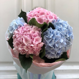 Bouquet Delicate hydrangeas Flower delivery