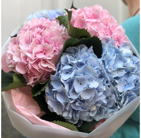 Букет Ніжні гортензії доставка квітів Букет Ніжні гортензії 4 доставка квітів
