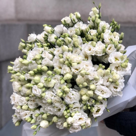 Bouquet of 51 eustoma Flower delivery