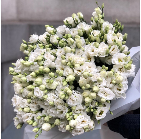 Букет из 51 эустомы 2 доставка цветов