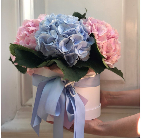 Квіткова композиція із гортензій 3 доставка квітів