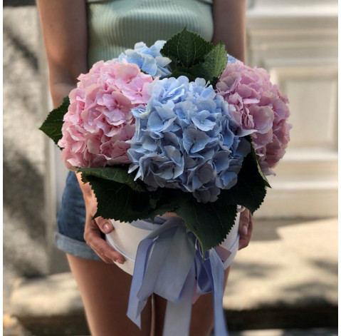 Квіткова композиція із гортензій 2 доставка квітів