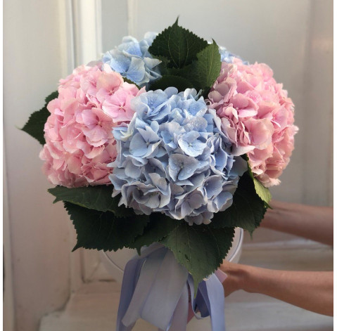 Квіткова композиція із гортензій 4 доставка квітів