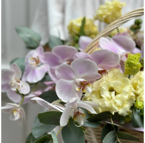 Квіткова композиція Блоссом Дрімс 4 доставка квітів