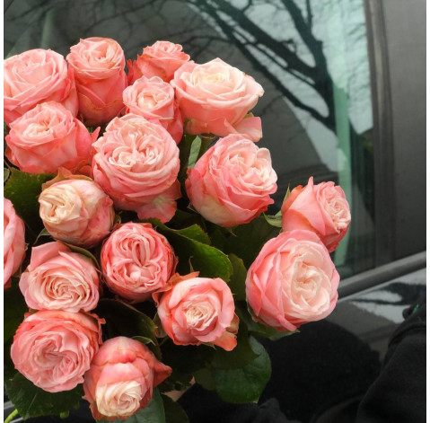 Rose Madam Bombastic 30-40 cm (one bud) 4 Flower delivery