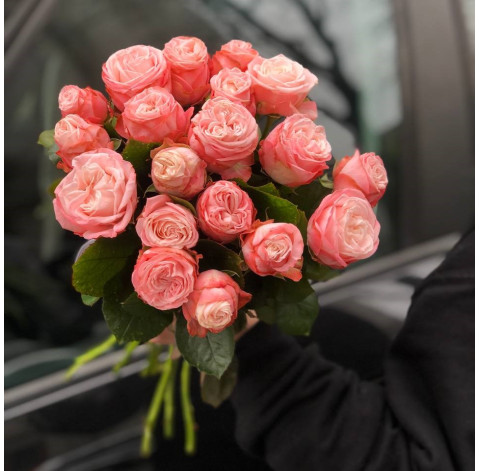 Rose Madam Bombastic 30-40 cm (one bud) 2 Flower delivery