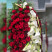 Funeral wreath red-white 3 Flower delivery foreshortening