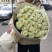 Bouquet 51 roses Mondial 1 Flower delivery foreshortening