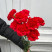 Гвоздика червона 1 доставка квітів ракурс