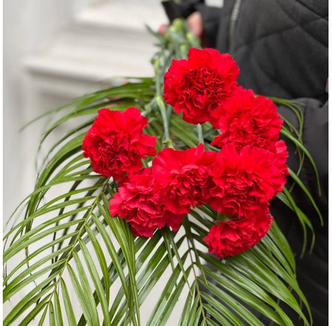 Букет із 8 червоних гвоздик 2 доставка квітів