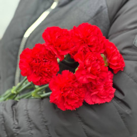 Гвоздика красная доставка цветов