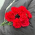 Гвоздика червона 2 доставка квітів ракурс