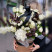 Funeral composition White silence 1 Flower delivery foreshortening