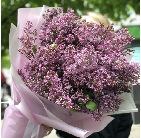 Букет Хмарка бузку 2 доставка квітів