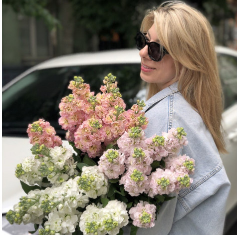 Mattiola 1 Flower delivery