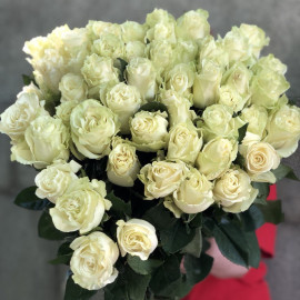 Mondial Rose Flower delivery Mondial Rose Flower delivery