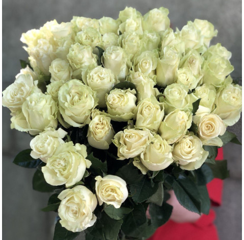 Mondial Rose 1 Flower delivery