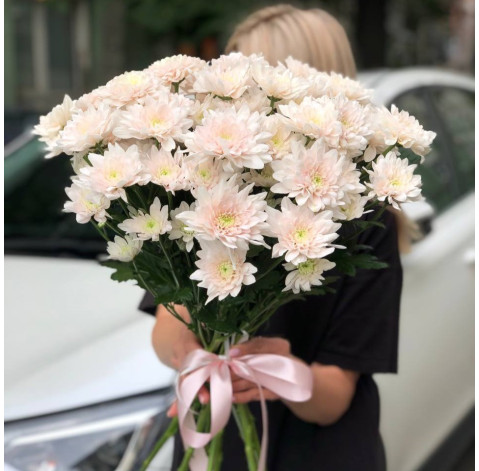 Bouquet of 11 chrysanthemums Pastella 2 Flower delivery