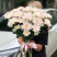 Bouquet of 11 chrysanthemums Pastella 2 Flower delivery foreshortening