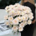 Bouquet of 11 chrysanthemums Pastella 1 Flower delivery foreshortening