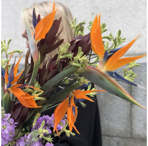 Bouquet Voyage 5 Flower delivery