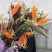 Bouquet Voyage 5 Flower delivery foreshortening