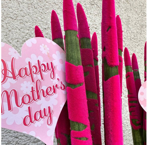 Sansevieria cylindrical 3 Flower delivery