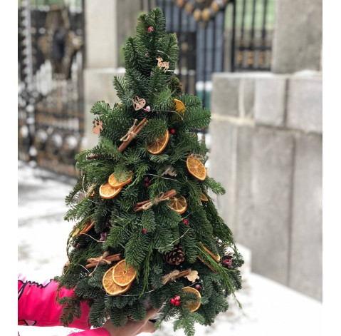 Cinnamon Christmas Tree 3 Flower delivery