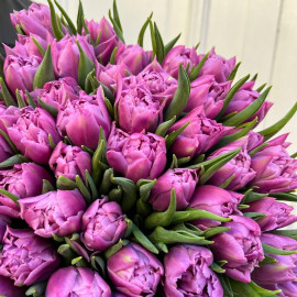 Тюльпан пионовидный Дабл Прайс доставка цветов