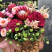 Flower Arrangement Inspiration 4 Flower delivery foreshortening