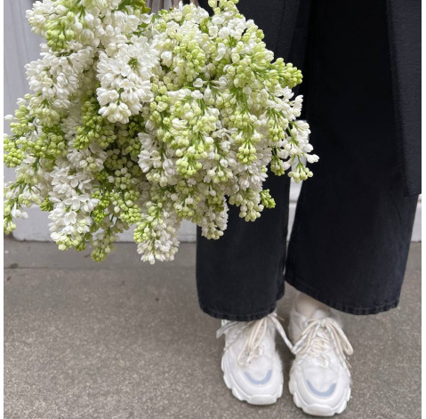 Сирень белая доставка цветов Сирень белая 2 доставка цветов