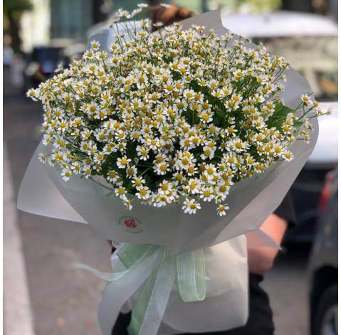 Букет 25 ромашок танацетум 6 доставка квітів