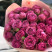 Bouquet of 11 roses Misty Bubbles Flower delivery foreshortening Bouquet of 11 roses Misty Bubbles 3 Flower delivery foreshortening