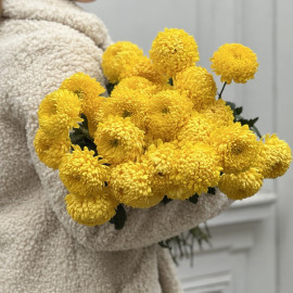 Chrysanthemum yellow local Flower delivery