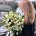 Bouquet White tulips and freesias Flower delivery foreshortening Bouquet White tulips and freesias 1 Flower delivery foreshortening