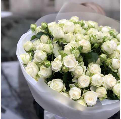 Bouquet of 19 roses Miss Bombastic 3 Flower delivery