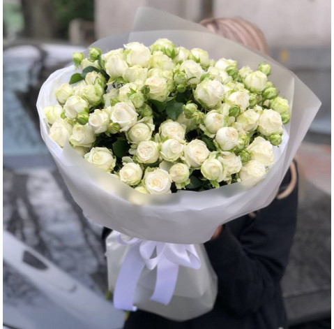 Bouquet of 19 roses Miss Bombastic 2 Flower delivery