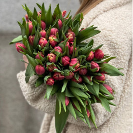 Тюльпан пионовидный Коламбус доставка цветов