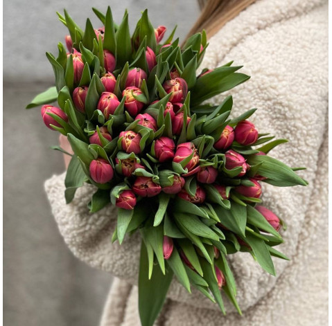 Тюльпан півонієподібний Коламбус доставка квітів