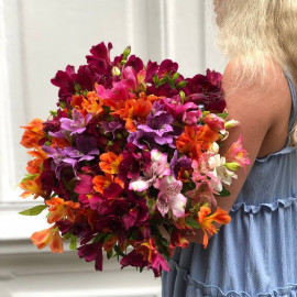 Альстромерия доставка цветов Альстромерия доставка цветов