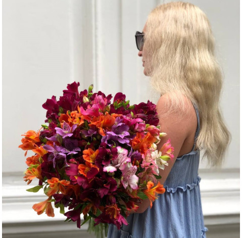 Alstroemeria 2 Flower delivery