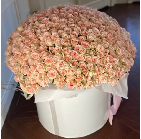 Квіткова композиція 501 троянда 2 доставка квітів