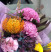 Bouquet Bright Stars 5 Flower delivery foreshortening