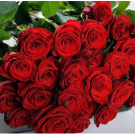 Rose Red Naomi 40 cm Flower delivery