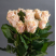 Talea Rose Flower delivery foreshortening Talea Rose 1 Flower delivery foreshortening